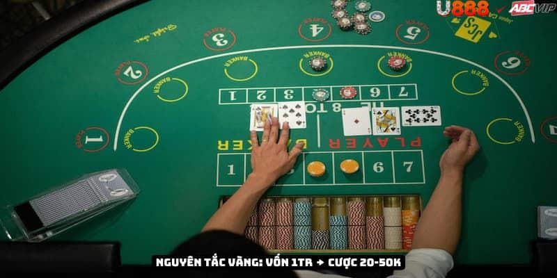 Kỷ luật Cơm Gạo U888: không gấp thếp