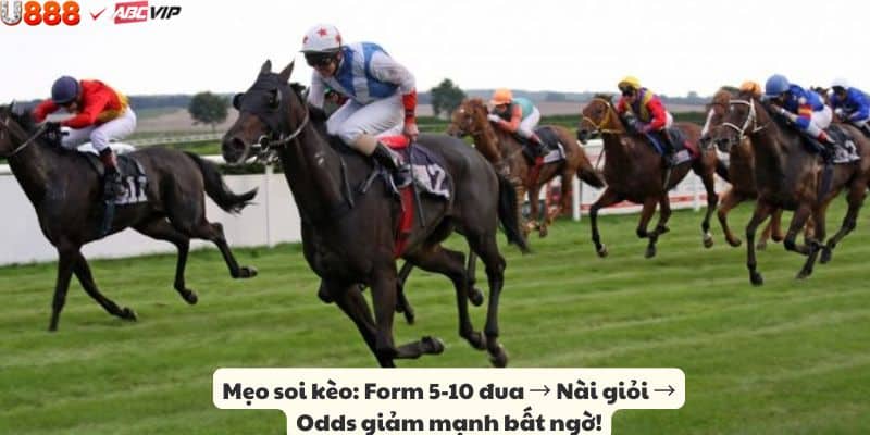 Bí quyết cá cược đua ngựa U888